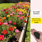 💫🌸BUY 1 GET 1 FREE | Moss Rose🌿Perennial Flower Seeds With Plant Growth Supplement