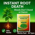 Cyclosinone Herbicide Granular(PACK OF 4)