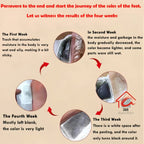 100% Herbal & Gentle Ingredient Detox Foot Pads (BUY 10 GET 10 FREE )