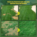 All Seasons Evergreen Grass Seeds | Fast Germination | Year-Round Beautiful Green Lawn | 🔥Buy 1 Get 1 Free🔥