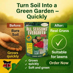 All Seasons Evergreen Grass Seeds | Fast Germination | Year-Round Beautiful Green Lawn | 🔥Buy 1 Get 1 Free🔥