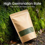 😍 Buy 1 Get Free 🔥Premium-Grade Moss Spore Powder🔥