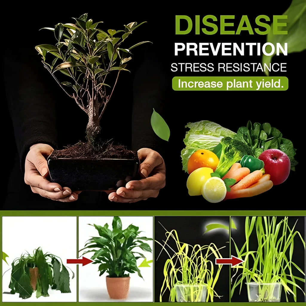 Premium Soil Activator 200gram| BUY 1 GET 1 FREE (200g Each)
