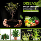 Premium Soil Activator 200gram| BUY 1 GET 1 FREE (200g Each)
