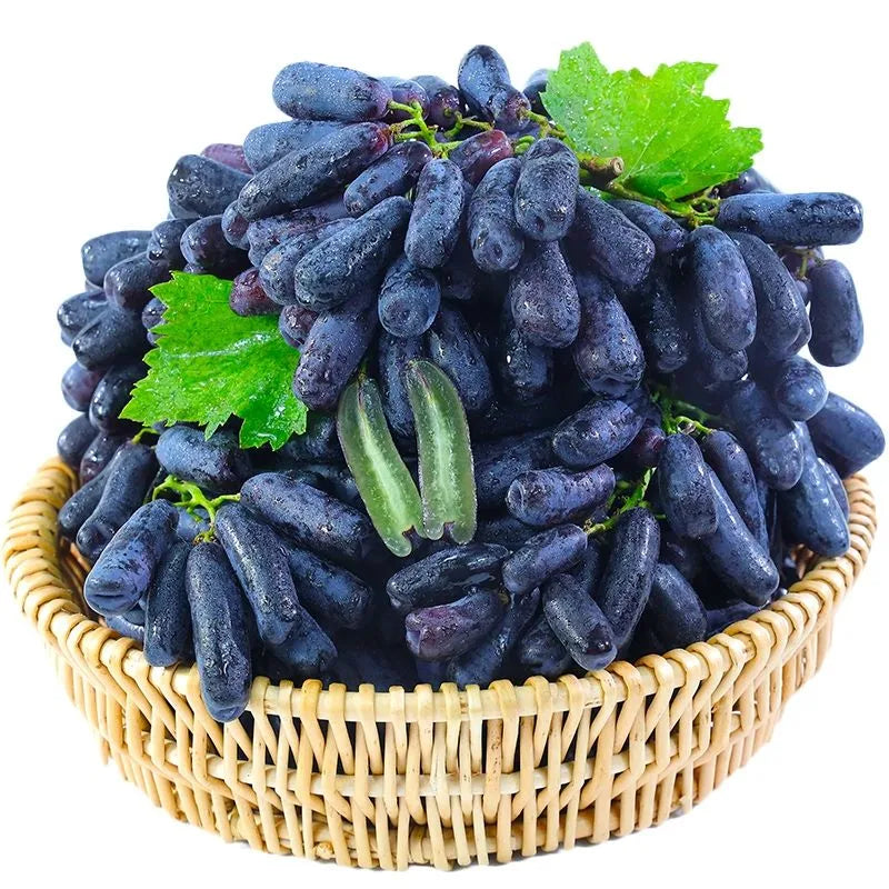 [ SEEDS ONLY ]🍇 High-Quality Sweet Sapphire Grapes Seeds🍇✨ 98% Germination（High Yield) 🌱