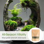 😍 Buy 1 Get Free 🔥Premium-Grade Moss Spore Powder🔥