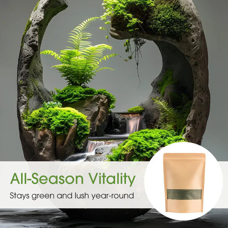 😍 Buy 1 Get Free 🔥Premium-Grade Moss Spore Powder🔥