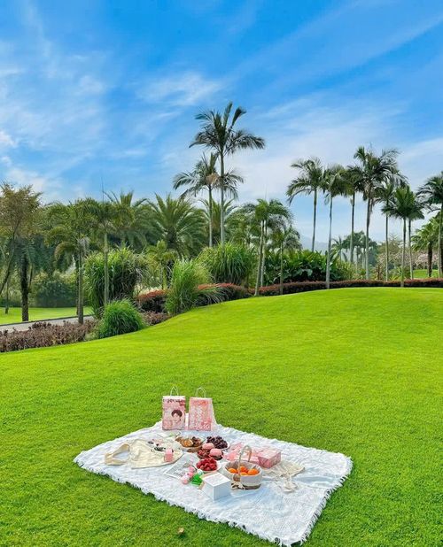 All Seasons Evergreen Grass Seeds | Fast Germination | Year-Round Beautiful Green Lawn | 🔥Buy 1 Get 1 Free🔥