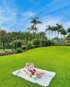 All Seasons Evergreen Grass Seeds | Fast Germination | Year-Round Beautiful Green Lawn | 🔥Buy 1 Get 1 Free🔥